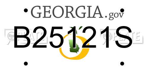 B25121S Georgia License Plate