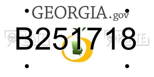 B251718 Georgia License Plate