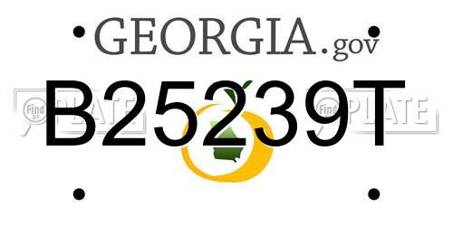 B25239T Georgia License Plate