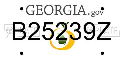 B25239Z Georgia License Plate