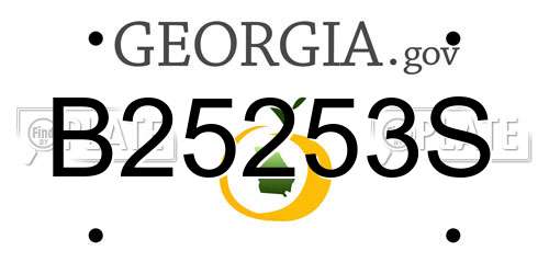B25253S Georgia License Plate