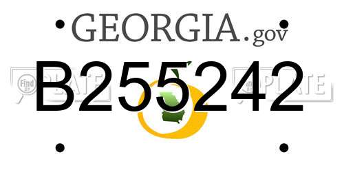 B255242 Georgia License Plate