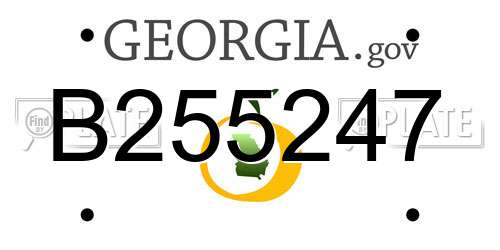 B255247 Georgia License Plate
