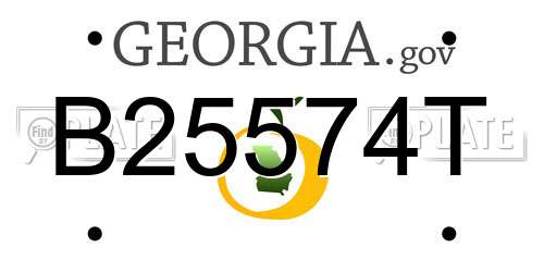B25574T Georgia License Plate
