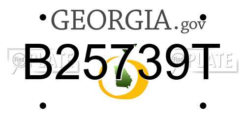 B25739T Georgia License Plate