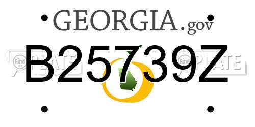 B25739Z Georgia License Plate