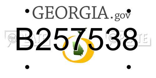 B257538 Georgia License Plate