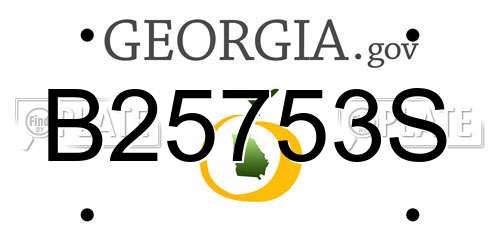 B25753S Georgia License Plate