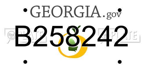 B258242 Georgia License Plate