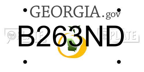 B263ND Georgia License Plate