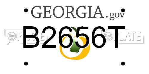 B2656T Georgia License Plate