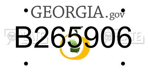 B265906 Georgia License Plate