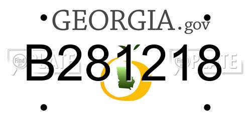 B281218 Georgia License Plate