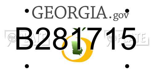 B281715 Georgia License Plate