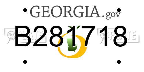 B281718 Georgia License Plate