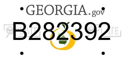 B282392 Georgia License Plate