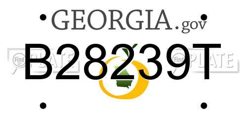 B28239T Georgia License Plate