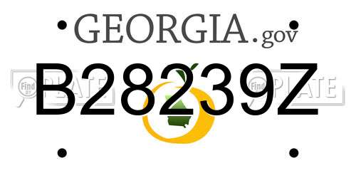 B28239Z Georgia License Plate
