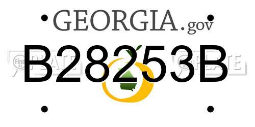 B28253B Georgia License Plate