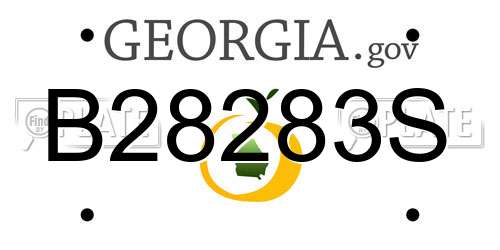 B28283S Georgia License Plate