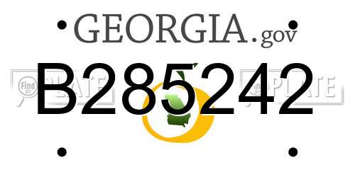 B285242 Georgia License Plate
