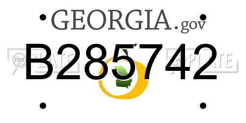 B285742 Georgia License Plate