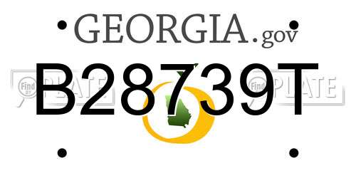 B28739T Georgia License Plate
