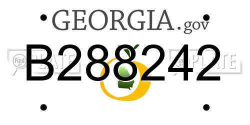 B288242 Georgia License Plate