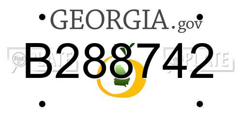 B288742 Georgia License Plate