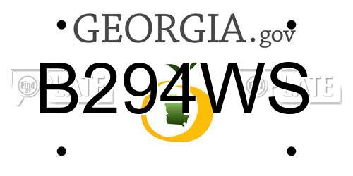 B294WS Georgia License Plate