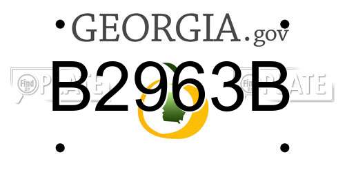 B2963B Georgia License Plate