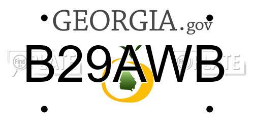 B29AWB Georgia License Plate