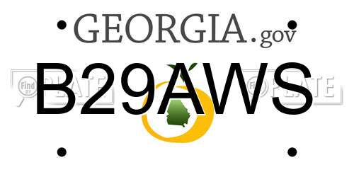 B29AWS Georgia License Plate