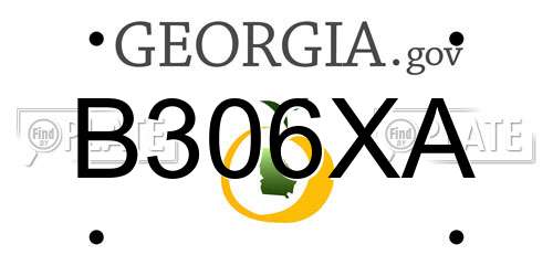 B306XA Georgia License Plate