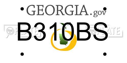 B310BS Georgia License Plate