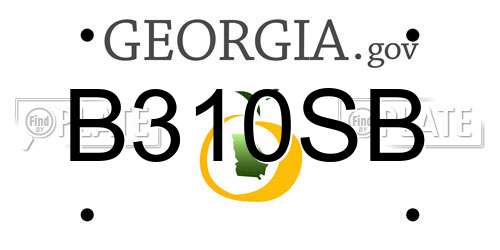 B310SB Georgia License Plate