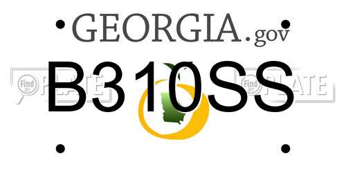 B310SS Georgia License Plate