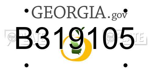 B319105 Georgia License Plate