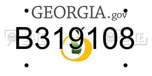 B319108 Georgia License Plate