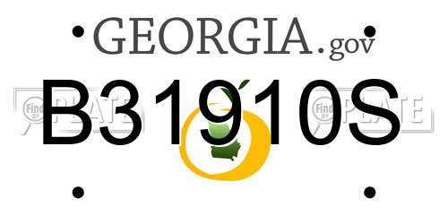 B31910S Georgia License Plate