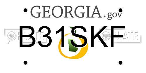 B31SKF Georgia License Plate