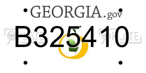 B325410 Georgia License Plate