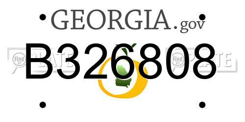 B326808 Georgia License Plate