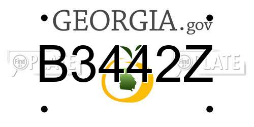 B3442Z Georgia License Plate