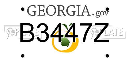 B3447Z Georgia License Plate