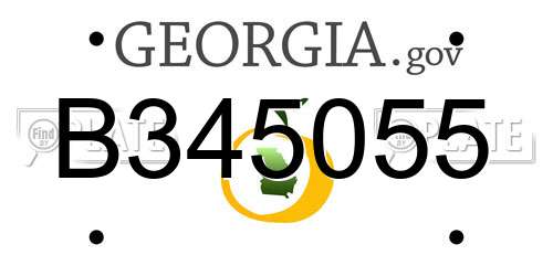 B345055 Georgia License Plate