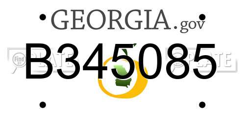 B345085 Georgia License Plate