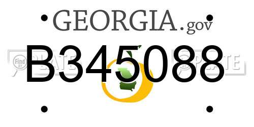 B345088 Georgia License Plate
