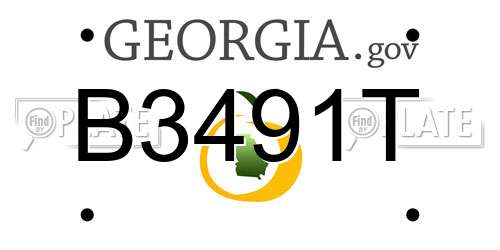 B3491T Georgia License Plate