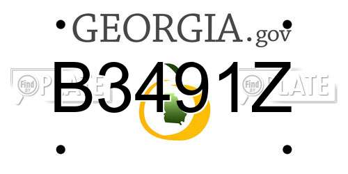 B3491Z Georgia License Plate